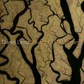 Daniel Lentz : River of 1,000 Streams. Ray.