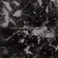 Michael Byron : Fabric for String Noise. String Noise, Bergman.