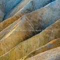 John Luther Adams : Lines Made by Walking. JACK Quartet.