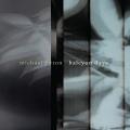 Michael Byron : Halcyon Days. Winant, Moore, Ray Kallay Duo.