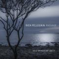 Rich Pellegrin : Solo Improvisations II.