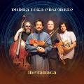 Purna Loka Ensemble : Metaraga.