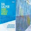 Hal Galper : Ivory Forest Redux. Scofield, Dockery, Nussbaum.