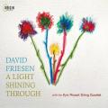 David Friesen & Kvyiv Mozart String Quartet : A Light Shining Through.