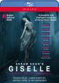 Akram Khan : Gisle. Rojo, Streeter, Cirio, Quagebeur, English National Ballet, Sutherland.