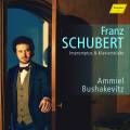 Schubert : Impromptus et pièces pour piano. Bushakevitz.