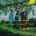 Brahms, Kahn, Frühling : Trios pour clarinette, violoncelle et piano. Quantum Clarinet Trio.