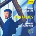 Schubert : Fantaisies pour piano. Bushakevitz.