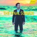 Schubert : La derni�re sonate pour piano. Bushakevitz.