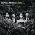 Chiaroscuro. Quatuors  cordes. Schumann Quartett.