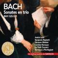 Bach : Sonates en trio, BWV 525-530. Isoir, Righetti, Ghielmi, London Baroque, Le Petit Concert Baroque, Florilegium.