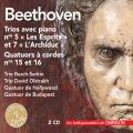 Beethoven : Musique de chambre. Trio Busch-Serkin, Trio Oistrakh, Quatuors Hollywood et Budapest.