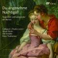 Du angenehme Nachtigall. Chansons d'amour baroques. Eitrich, Kreidler, Thalheimer.