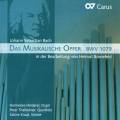 Bach : L'Offrande musicale. Hinderer, Thalheimer, Kraut.