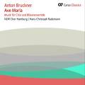 Bruckner : Ave Maria, musique pour chœur et ensemble d'instruments à vent. Rademann.