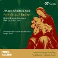 Bach : Friede auf Erden, Cantates reconstitues. Feuersinger, Wey, Sievers, Noack, Speck.