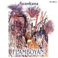 Awankana : Flamboyan