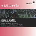 Enjott Schneider : Magic of Irreality. Isolde & Tristan - Dreamdancers. Yan, Yang, Sauter, Nakariakov, Lande.