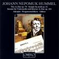 Johann Nepomuk Hummel : Musique de chambre. Adorjan, Pergamenschikow, Gililov.