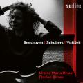 Beethoven, Schubert, Vorek : uvres pour violoncelle et pianoforte. Braun, Birsak.