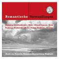 Romantische Verwandlungen. Schellenberger, Causs, Gladkov.
