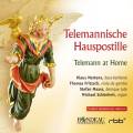 Telemann at Home : House postils in the style of Telemann. Mertens, Fritzsch, Maass, Schönheit.