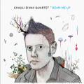 Shauli Einav Quartet : Beam Me Up.