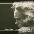 Beethoven : Les dernires sonates pour piano. Ogasawara.