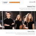 Time in Flux. Trios pour piano. Amelio Trio.