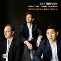 Beethoven : Trios pour piano, vol. 1. Beethoven Trio Bonn.