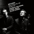 Brahms : Sonates pour alto - Trio. Willwohl, Heide, Enders.