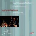 Ludwig van Beethoven : Symphonie n7 - Romances