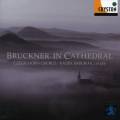 Bruckner in Cathedral : Transcriptions pour cor. Baborak.