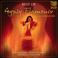 Best of Gypsy Flamenco
