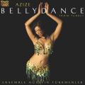 Ensemble Hseyin Trkmenler : Bellydance from Turkey