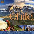Conjunto Folklorico Danzameric : Beautiful Songs of Chile