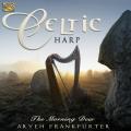 Aryeh Frankfurter : Celtic Harp - Morning Dew