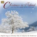 Noel Mcloughlin & Ger O'Donnell : Christmas in Ireland