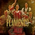 Jaleo : Flamenco Live