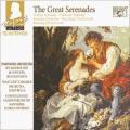 Wolfgang Amadeus Mozart : Les grandes srnades