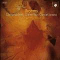 Johannes Brahms : Quintette pour clarinette - Trio pour clarinette - Sonates pour clarinette
