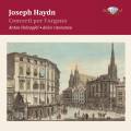 Haydn : Concertos pour orgue. Holzapfel, Dolce Risonanza.