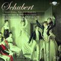Franz Schubert : Duos, trios et quatuors vocaux