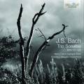 Bach : Sonates en trio, BWV 525-530. Folena, Loreggian.