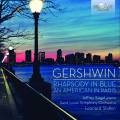 Gershwin : Rhapsody in blue - Un amricain  Paris. Siegel, Slatkin.