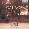 Raffaele Calace : Musique pour quatuor de mandolines. Quatuor Motus.