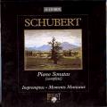 Schubert : Piano Sonatas, Impromptus, Moments musicaux
