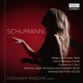 Schumann : Musique pour piano. Principe.
