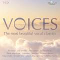 Voices