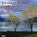 Brahms : Les sonates violoncelle et piano. Markson, Osorio.